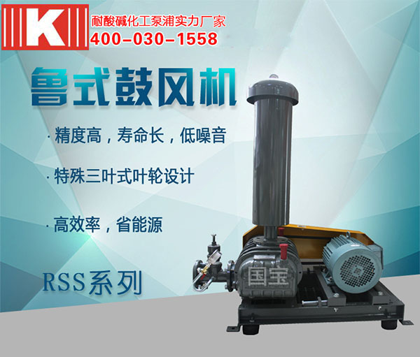 RSS魯式鼓風(fēng)機 RSS魯式鼓風(fēng)機